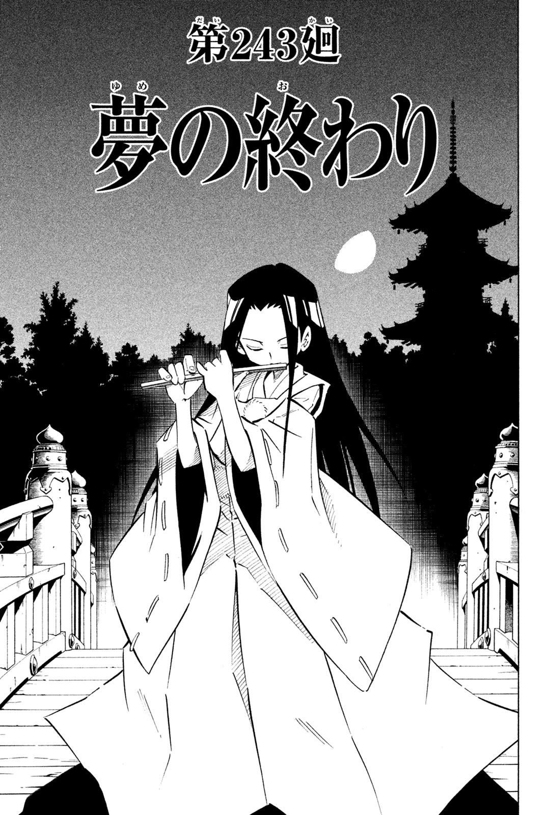 Shaman King Chapter 243 3ページ