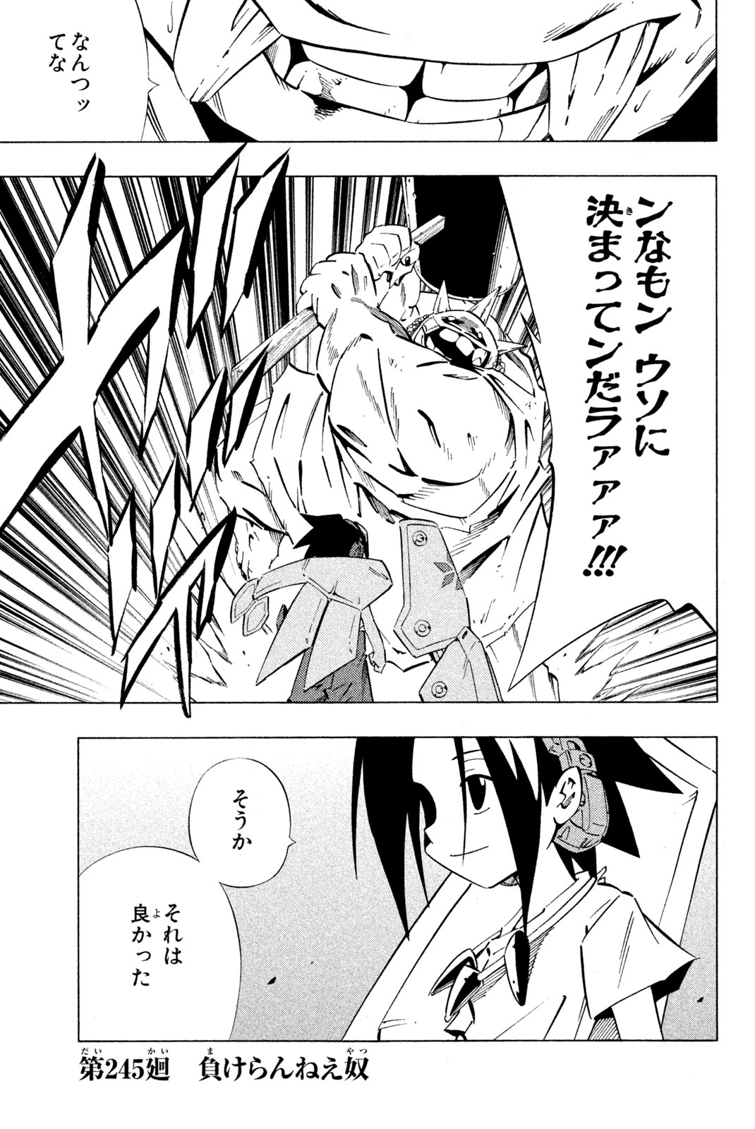 Shaman King Chapter 245 1ページ