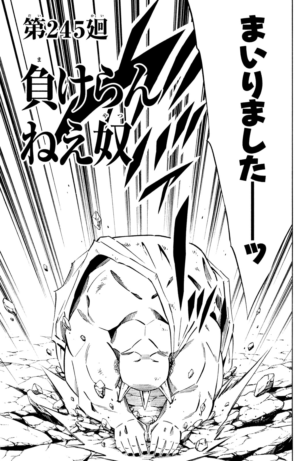 Shaman King Chapter 245 3ページ