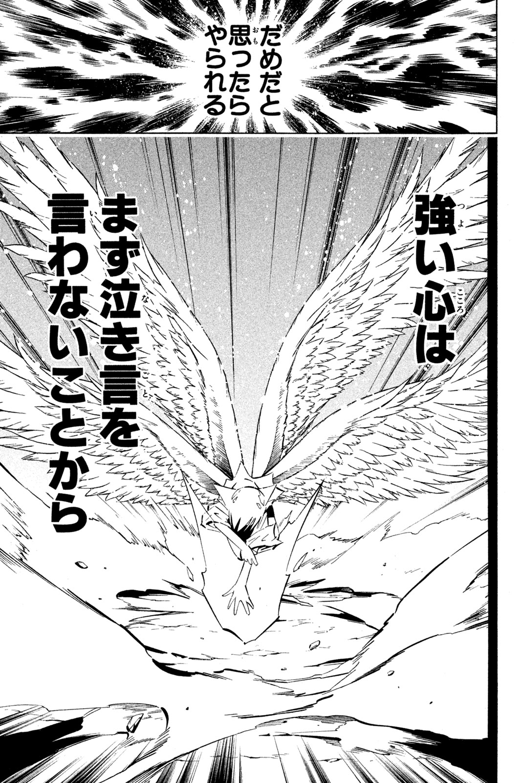 Shaman King Chapter 247 19ページ
