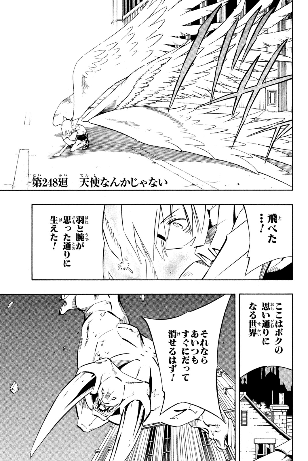 Shaman King Chapter 248 1ページ