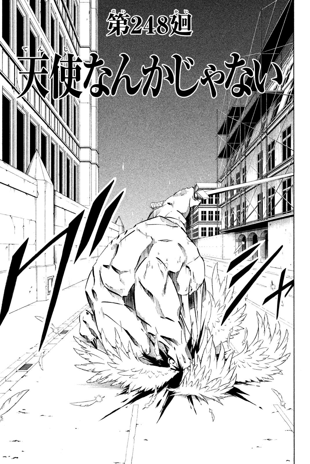 Shaman King Chapter 248 3ページ