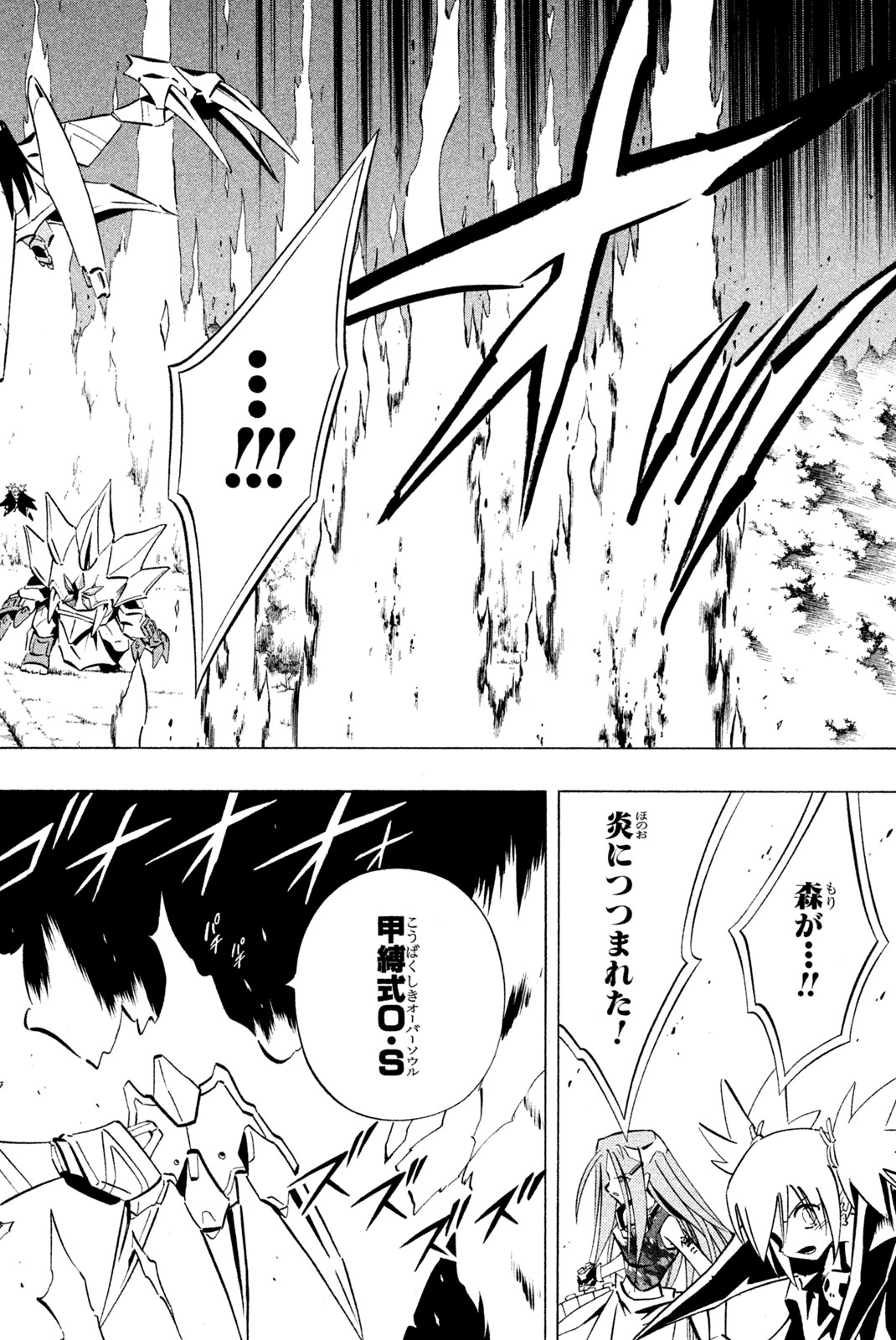 Shaman King Chapter 250 12ページ