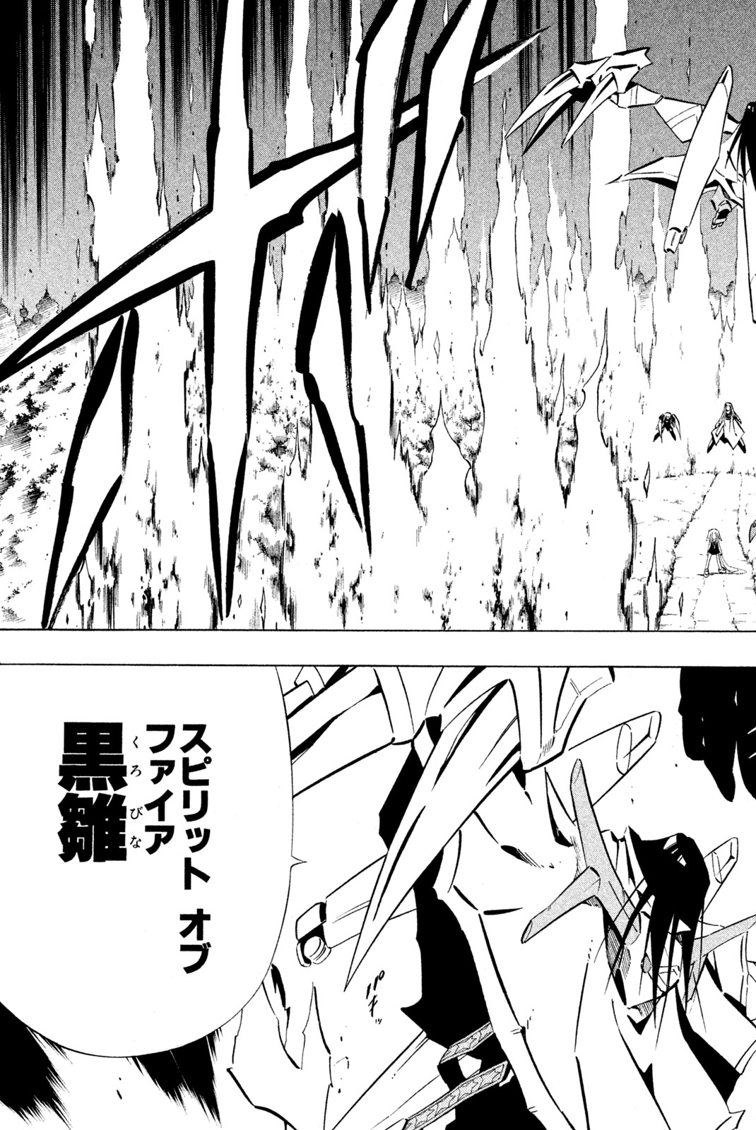Shaman King Chapter 250 13ページ