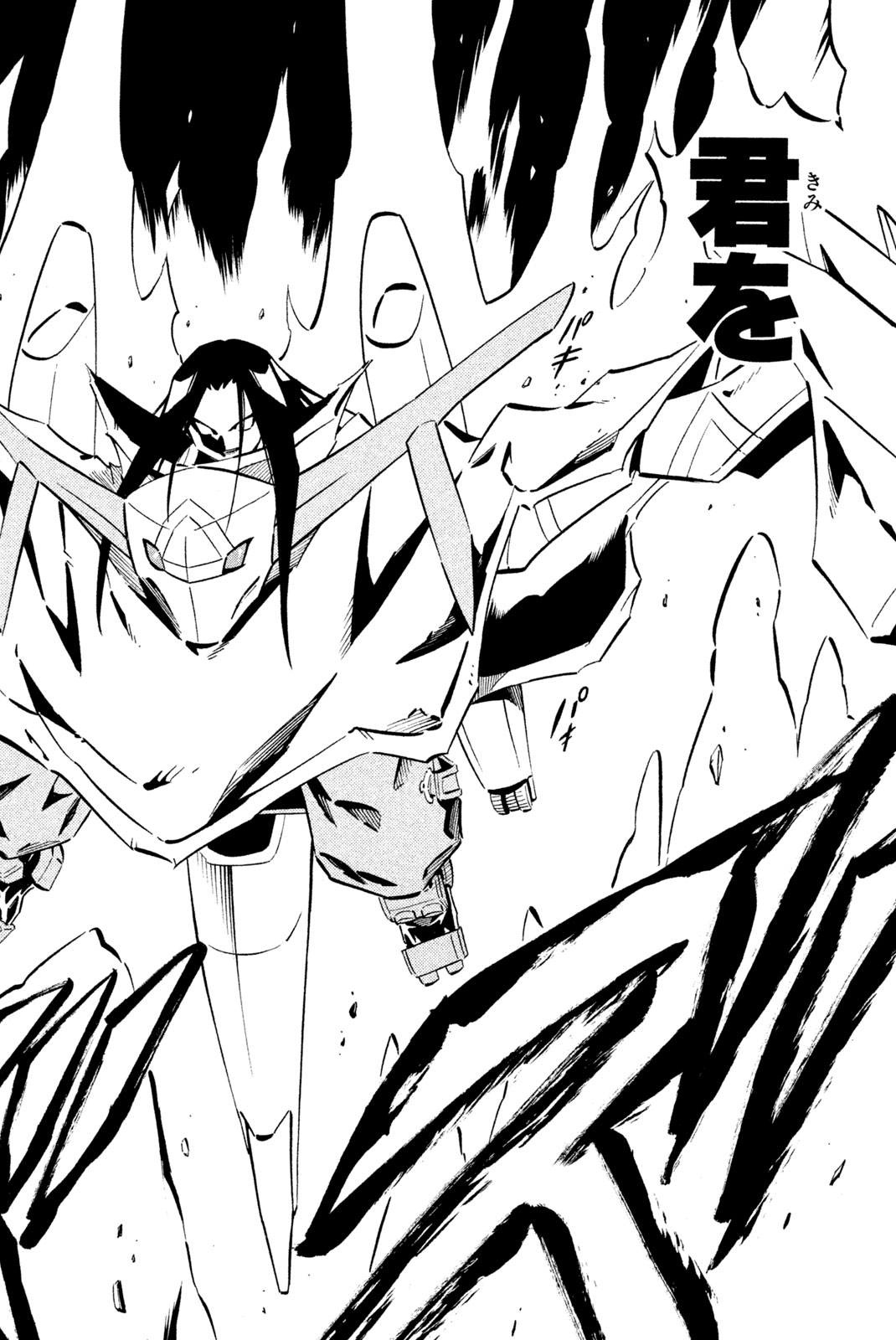 Shaman King Chapter 250 10ページ