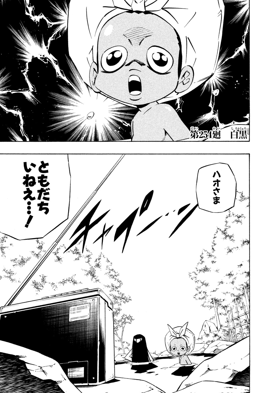 Shaman King Chapter 254 1ページ