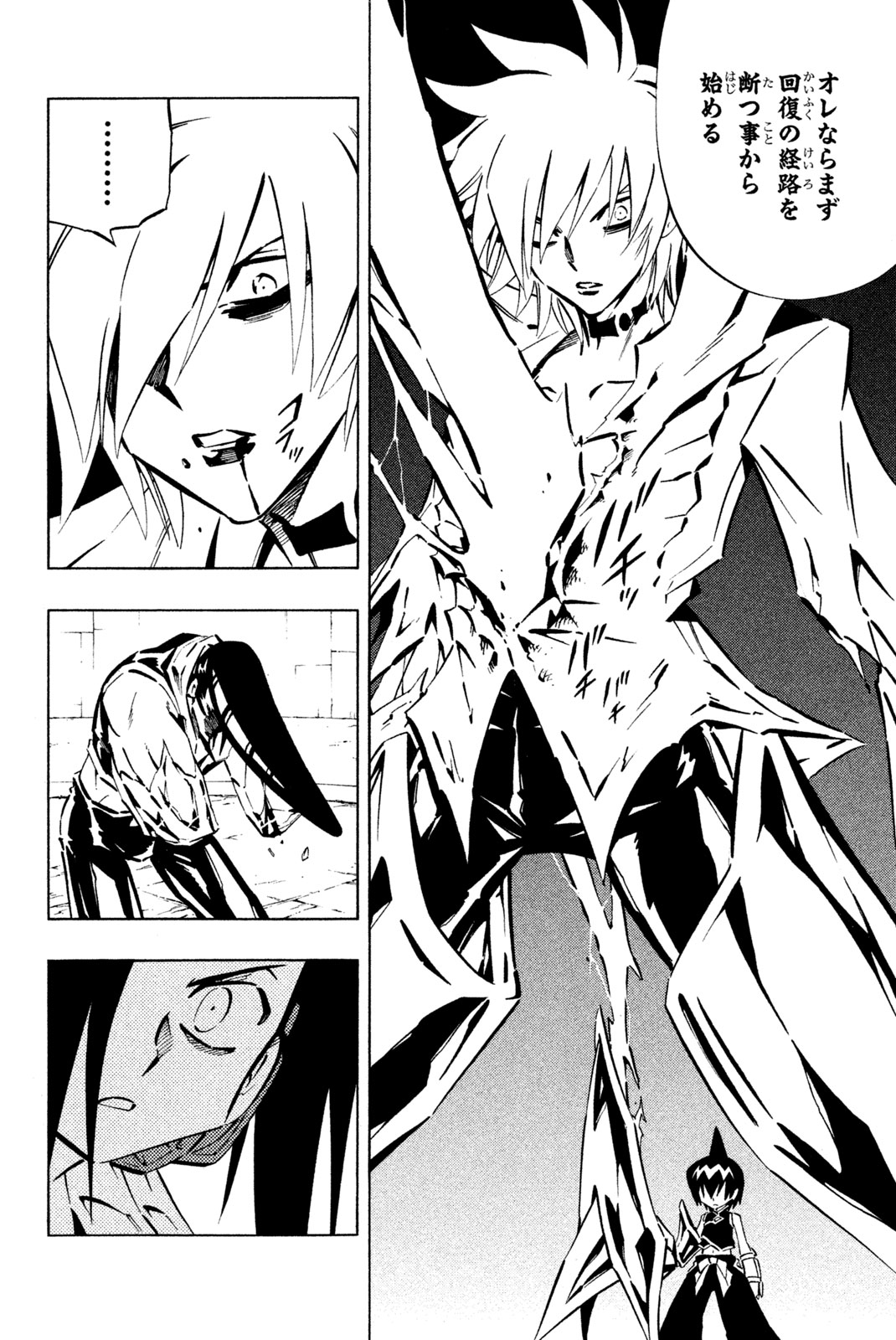 Shaman King Chapter 254 10ページ