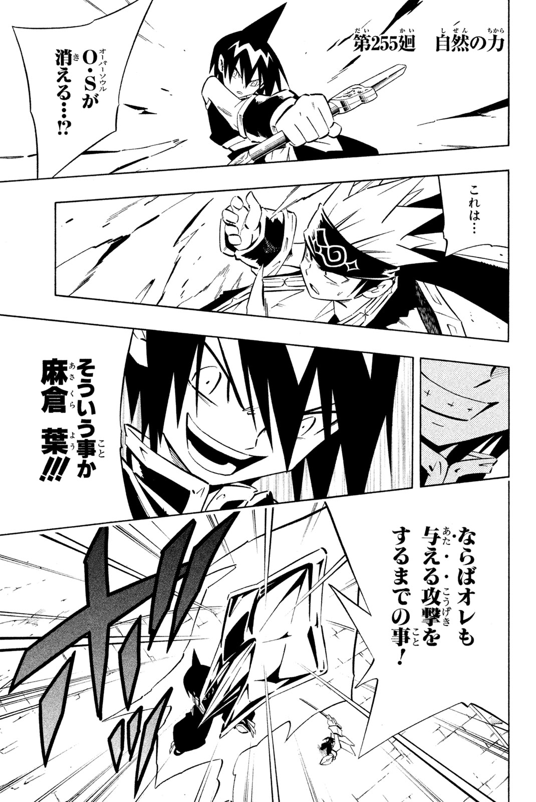 Shaman King Chapter 255 1ページ