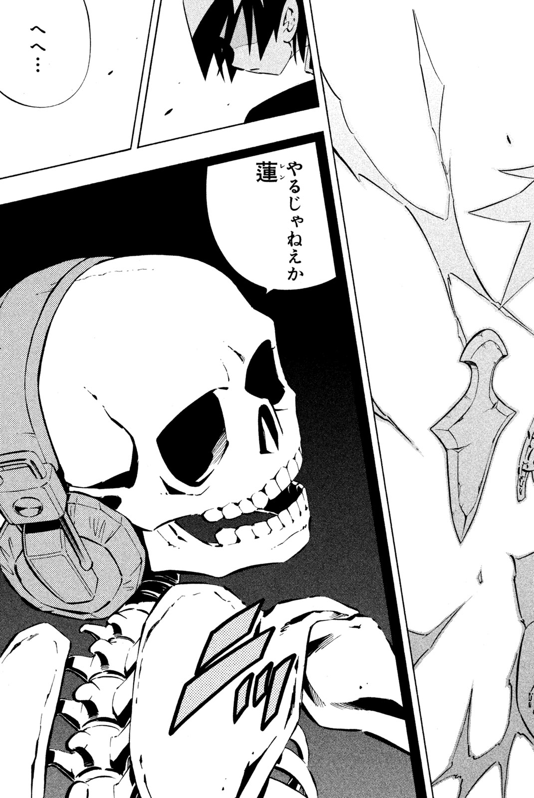 Shaman King Chapter 255 19ページ