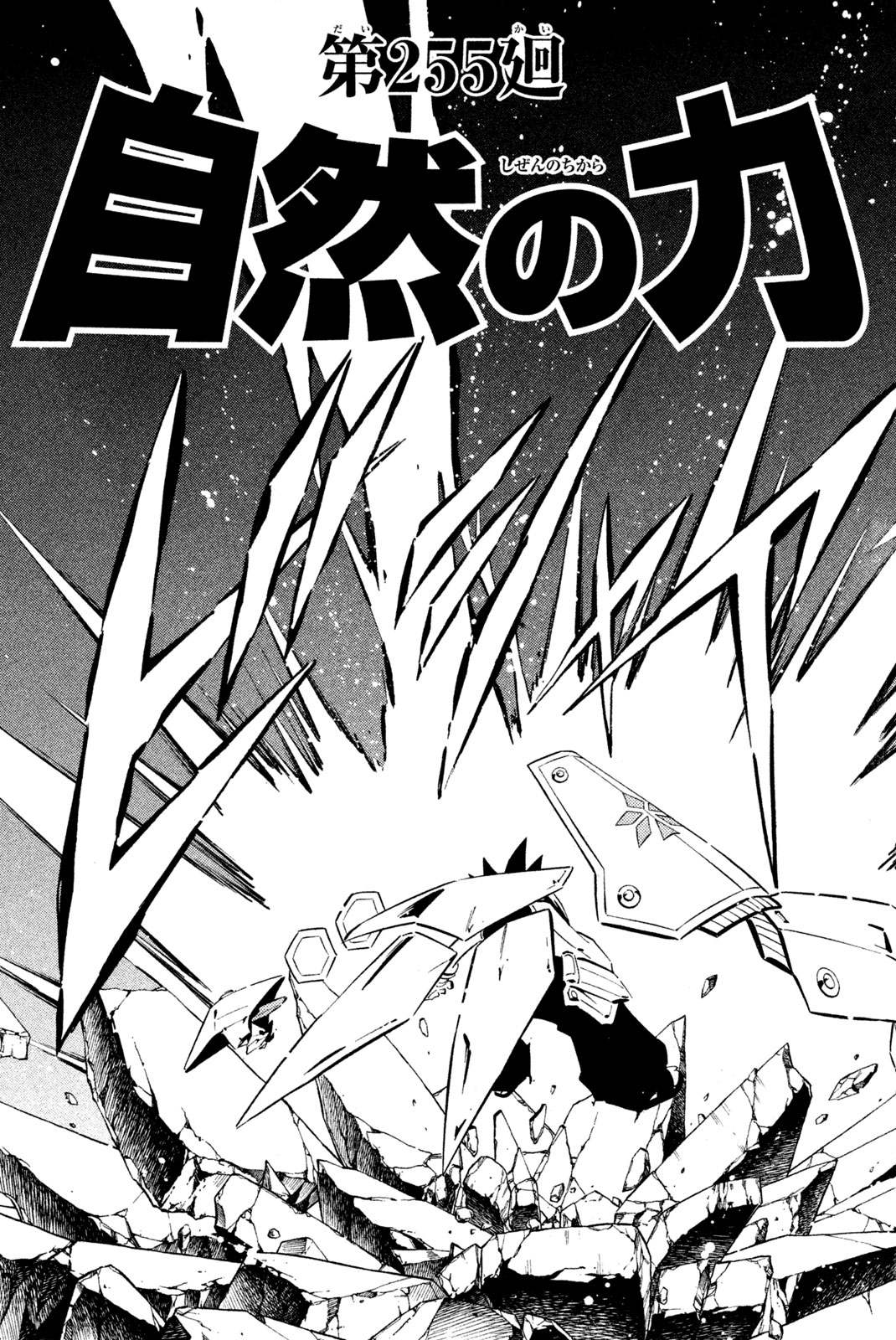 Shaman King Chapter 255 3ページ