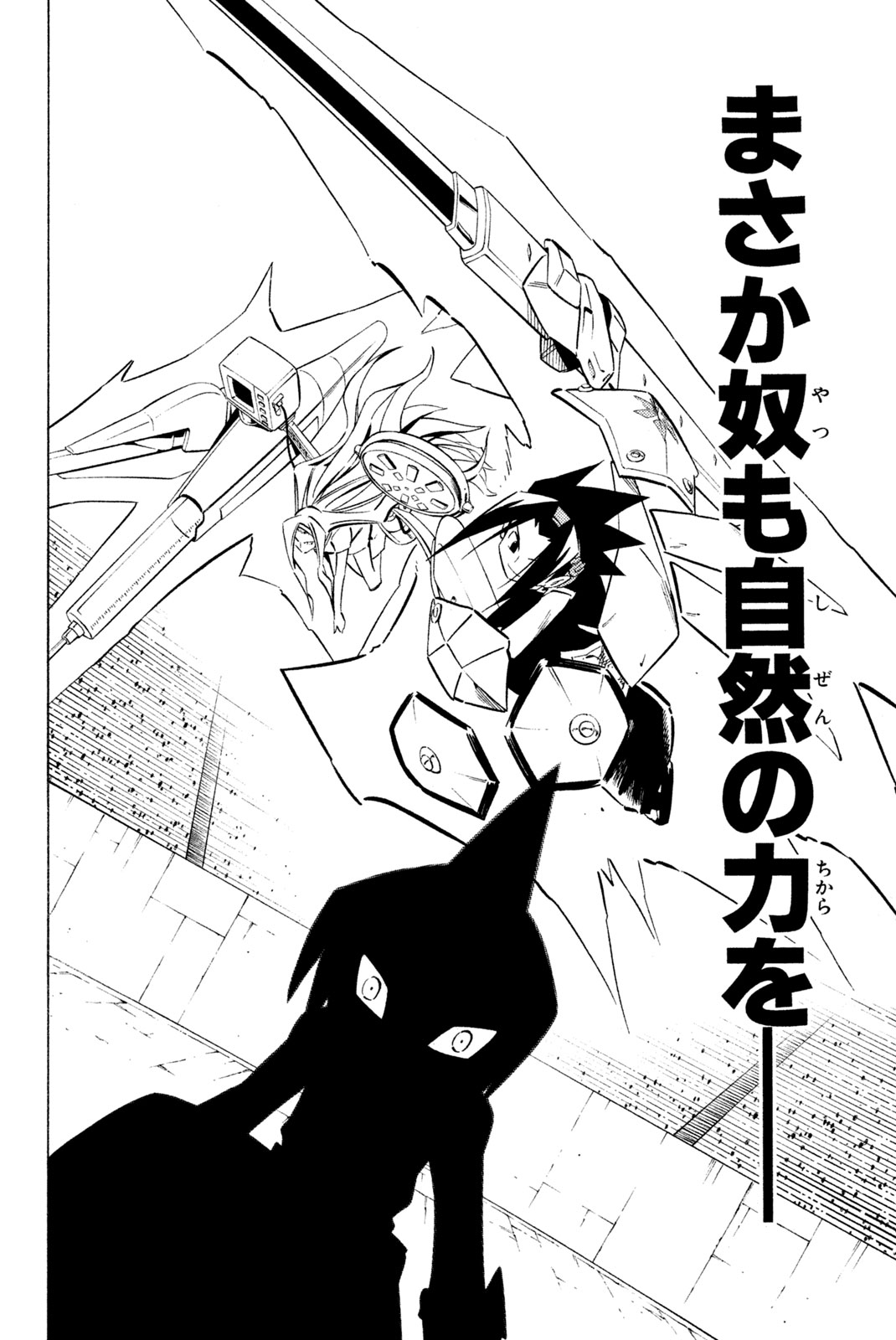 Shaman King Chapter 256 12ページ