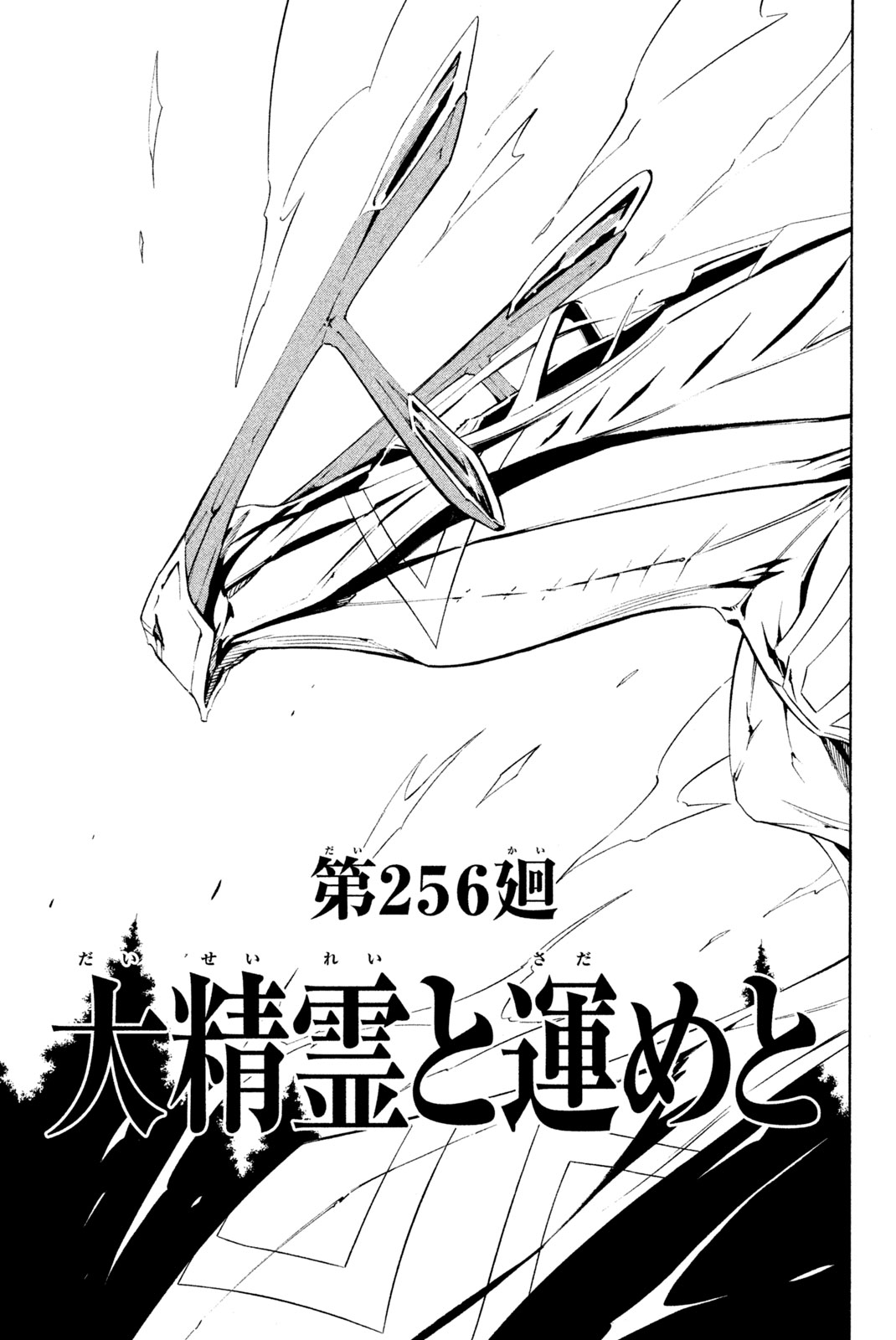 Shaman King Chapter 256 3ページ