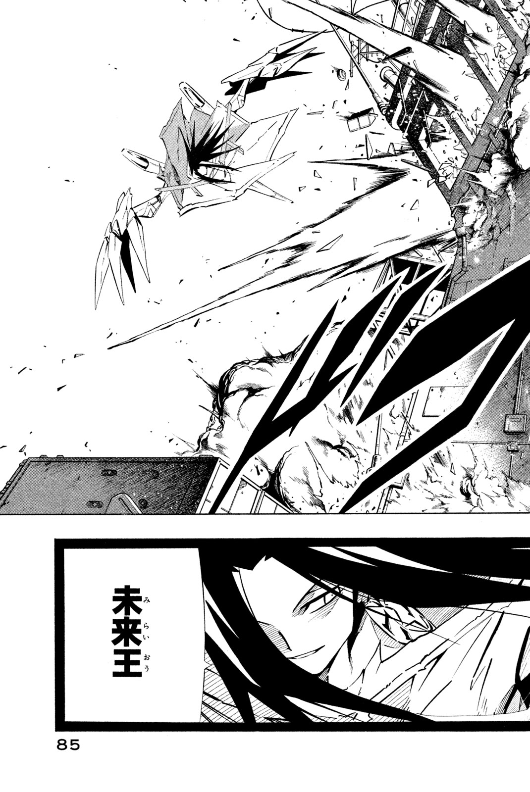 Shaman King Chapter 261 17ページ