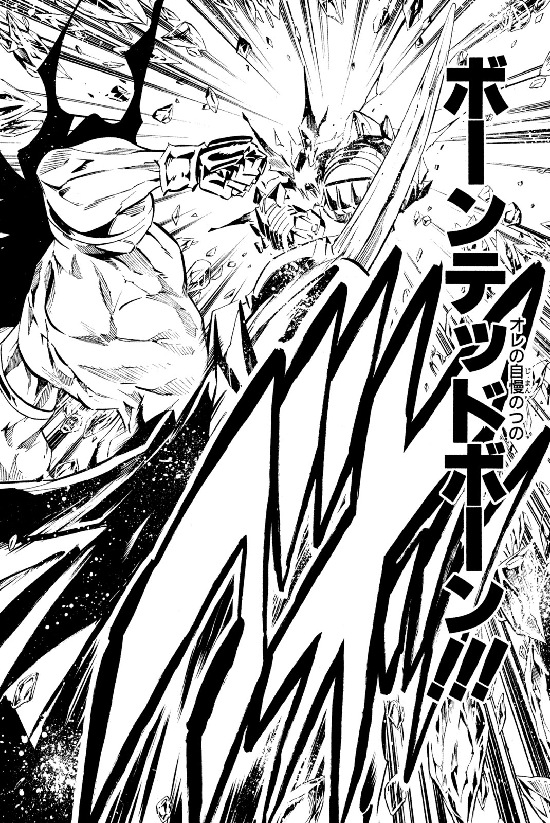Shaman King Chapter 287 14ページ