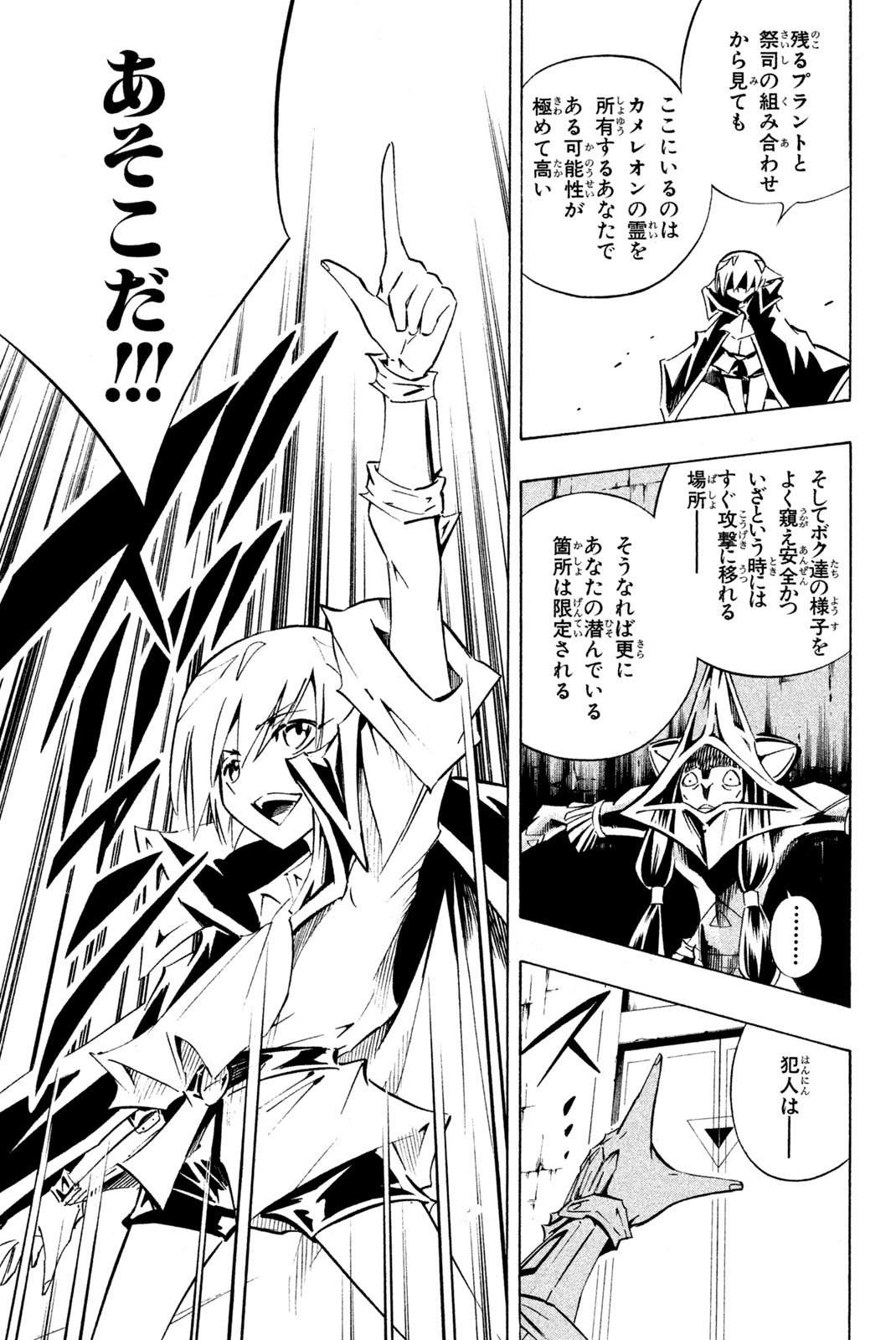 Shaman King Chapter 289 11ページ