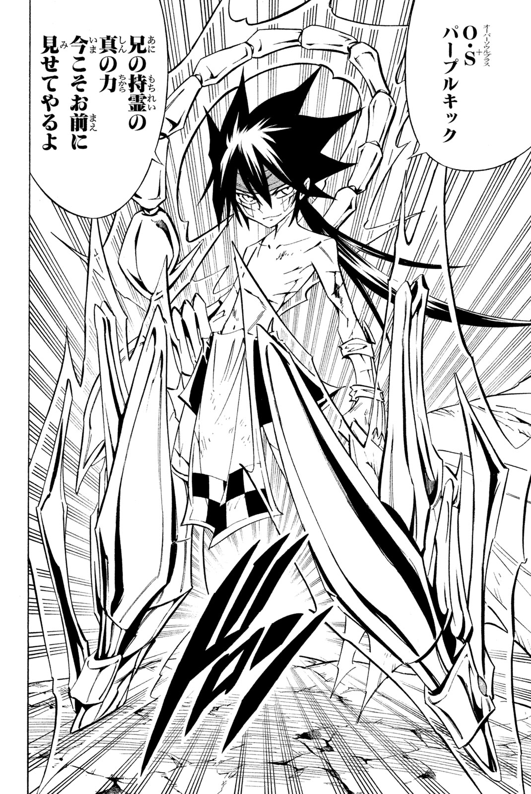 Shaman King Chapter 291 2ページ
