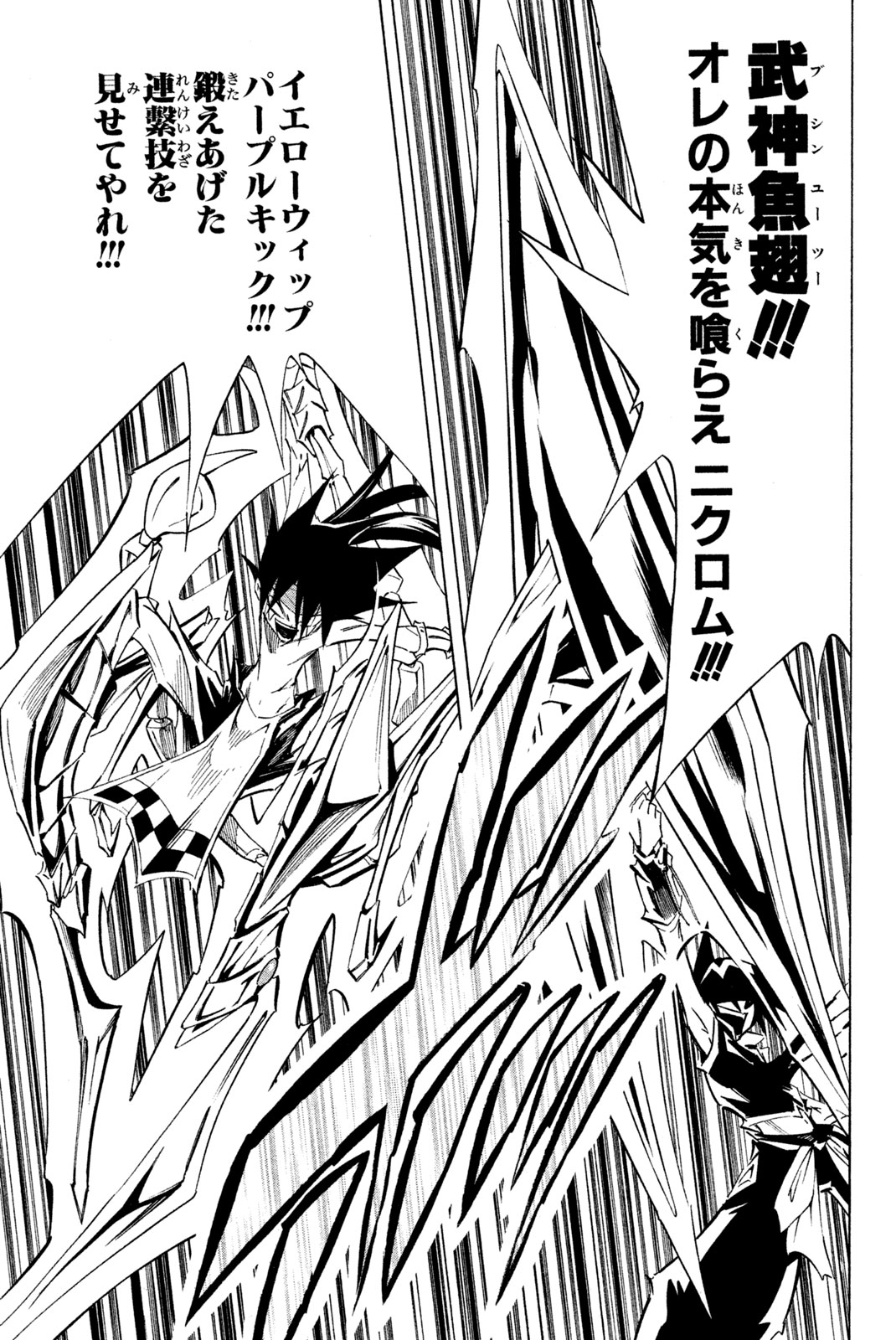 Shaman King Chapter 291 11ページ