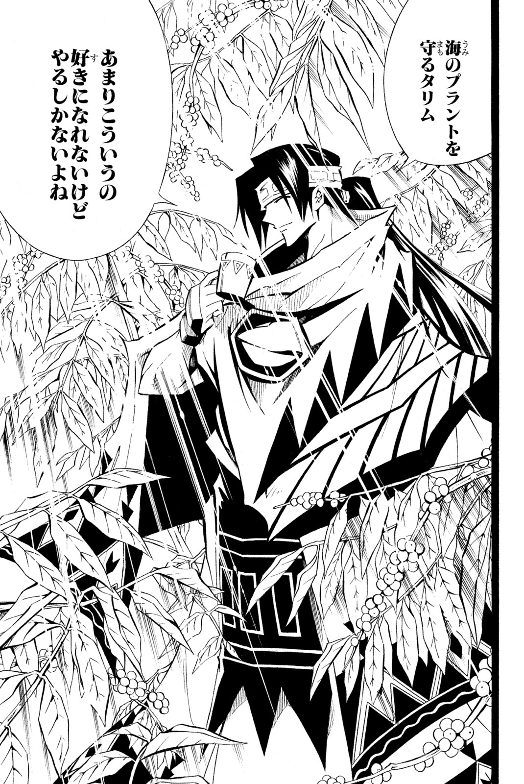 Shaman King Chapter 291 19ページ