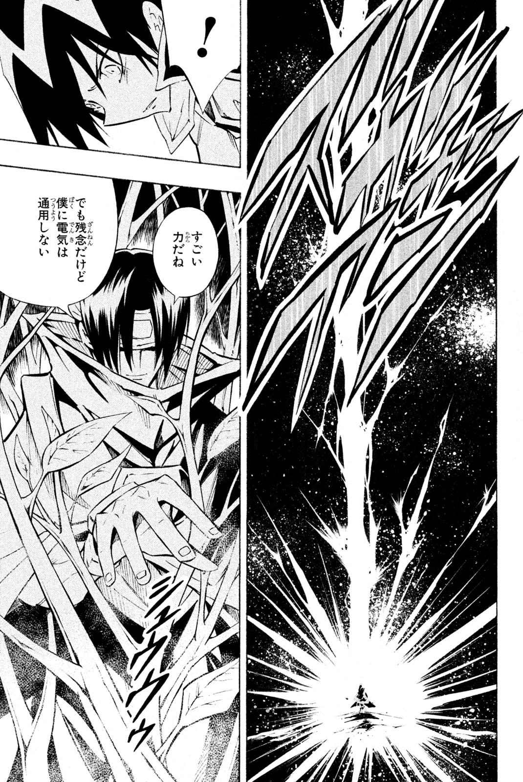 Shaman King Chapter 292 13ページ