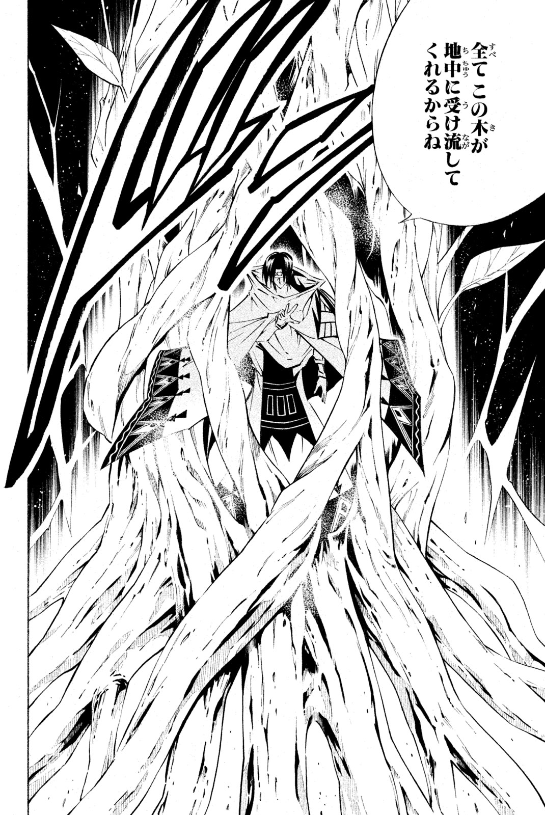 Shaman King Chapter 292 14ページ