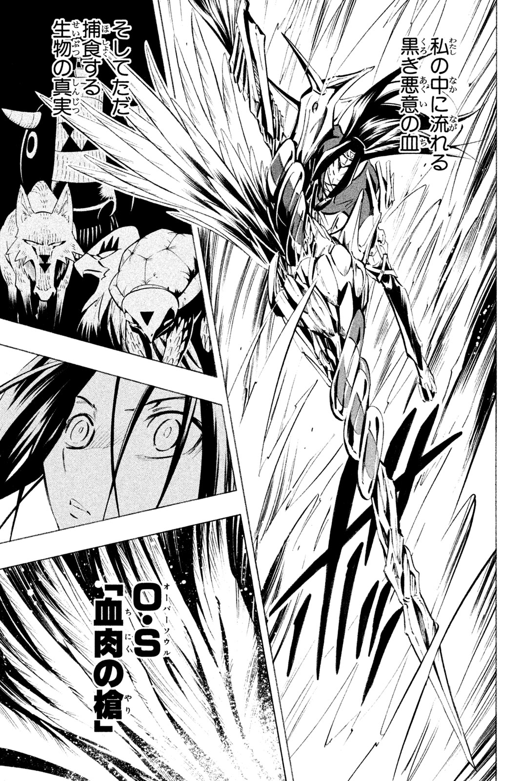 Shaman King Chapter 294 13ページ
