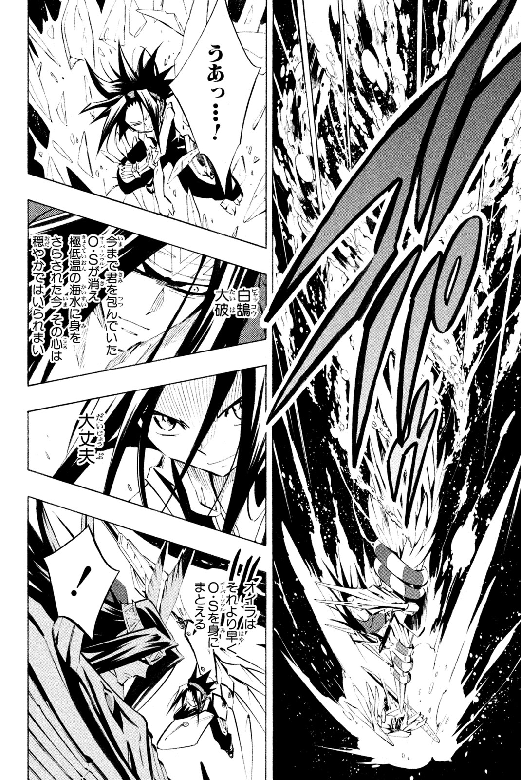 Shaman King Chapter 294 14ページ