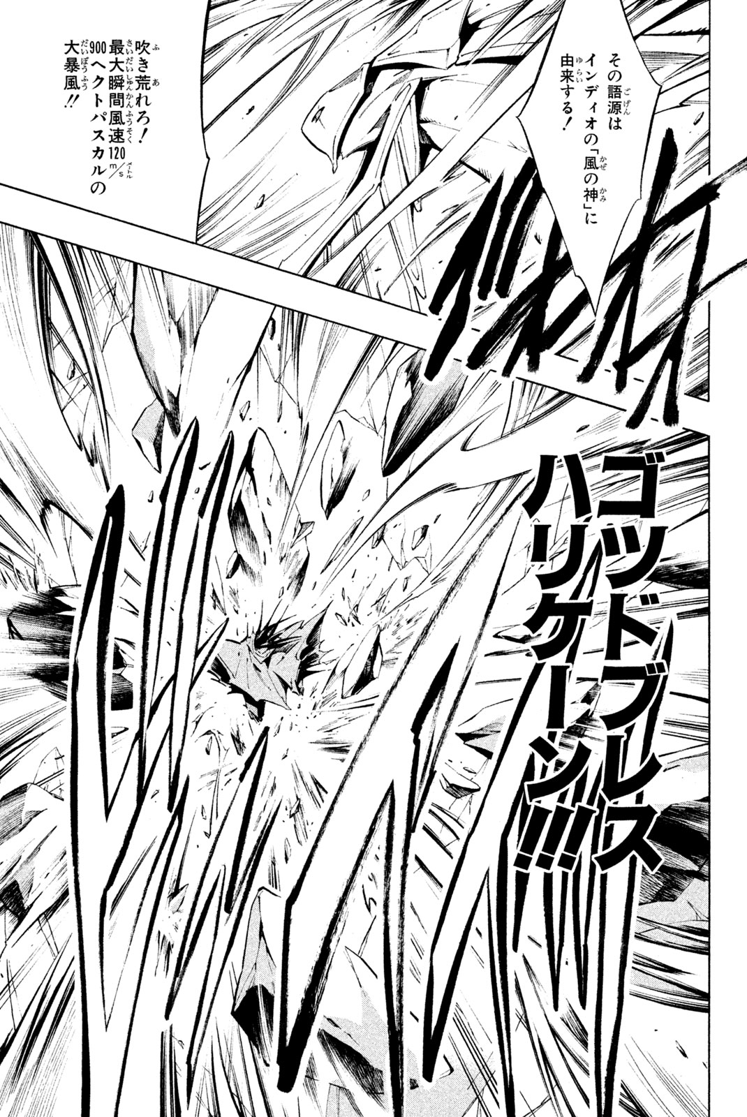 Shaman King Chapter 298 21ページ