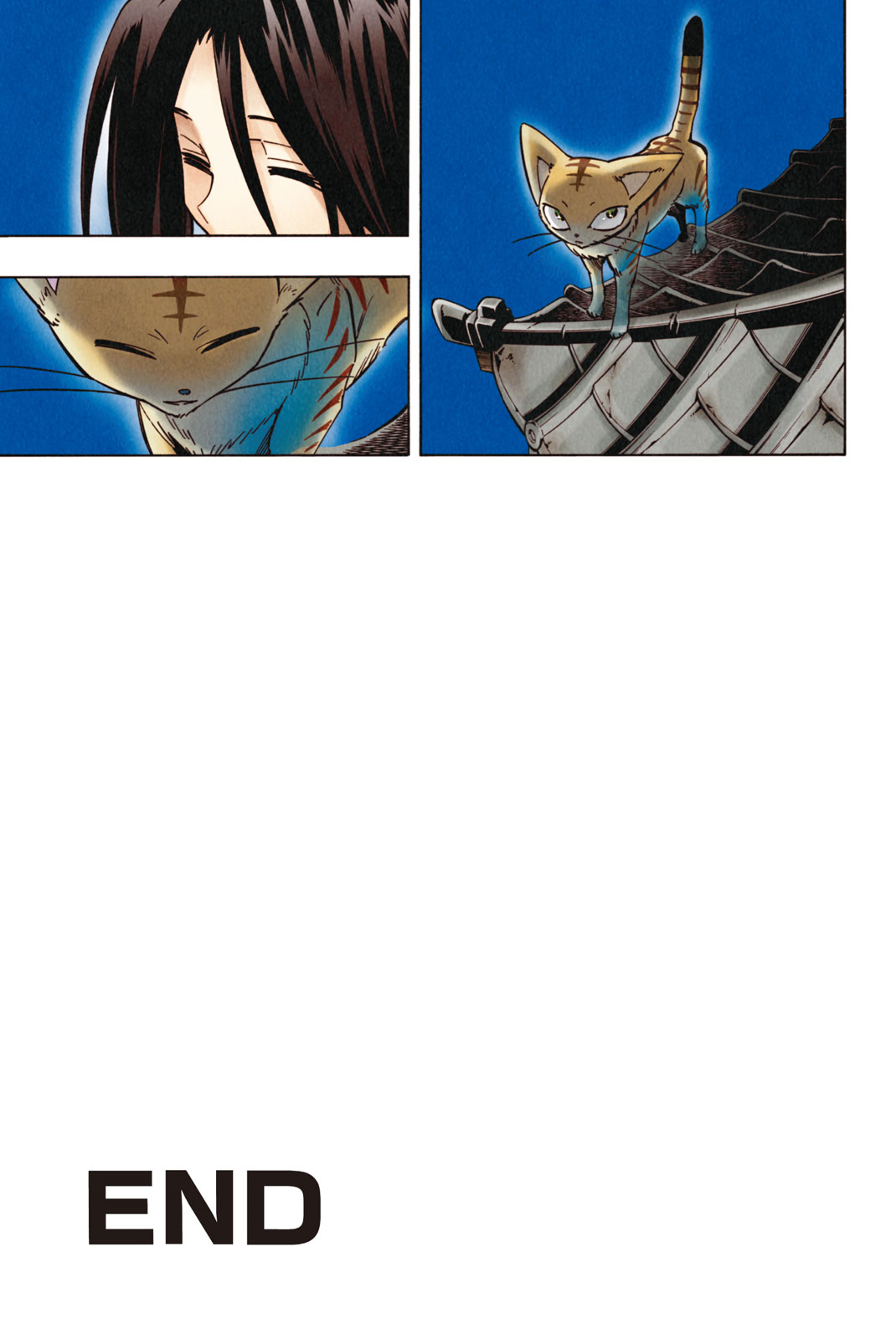 Shaman King Chapter 300 31ページ