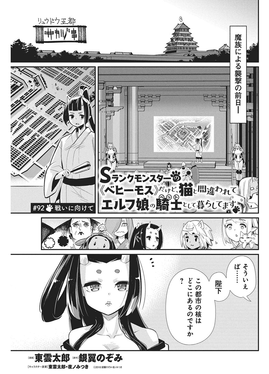 S-Rank Monster no "Behemoth" Dakedo, Neko to Machigawarete Elf Musume no Pet to Shite Kurashitemasu Chapter 92 1ページ