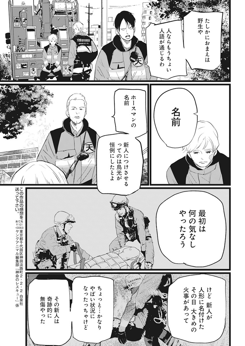 Shinmei no Rescue Chapter 1 39ページ