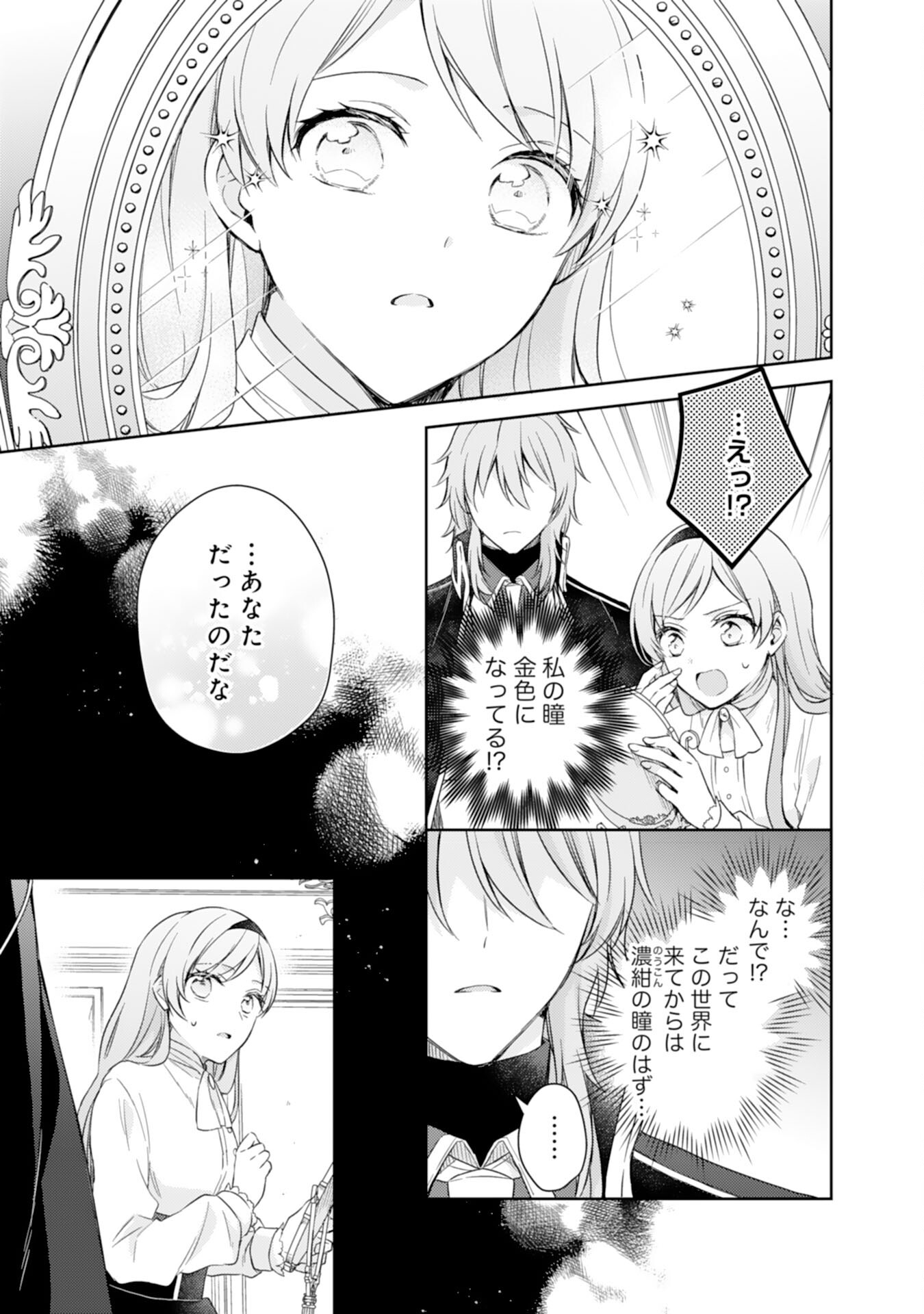 Seijo ni Nante Narimasen! - Chibikko to Heion ni Kurashitai Watashi wa Kikakugai Skill wo Hita Kakusu Chapter 8 3ページ
