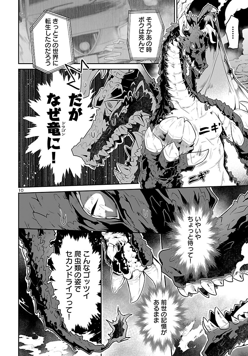 Shiranai Sekai de Rippa na Mesu Doragon to Shite Ikimasu! Chapter 1 11ページ