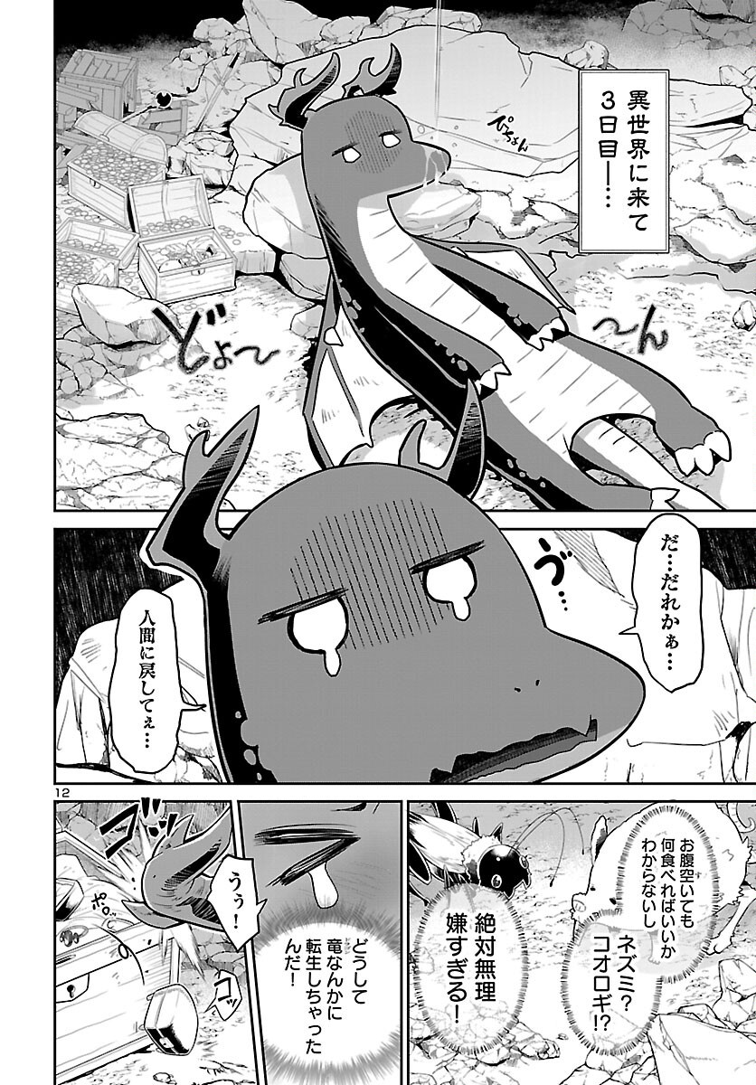 Shiranai Sekai de Rippa na Mesu Doragon to Shite Ikimasu! Chapter 1 13ページ