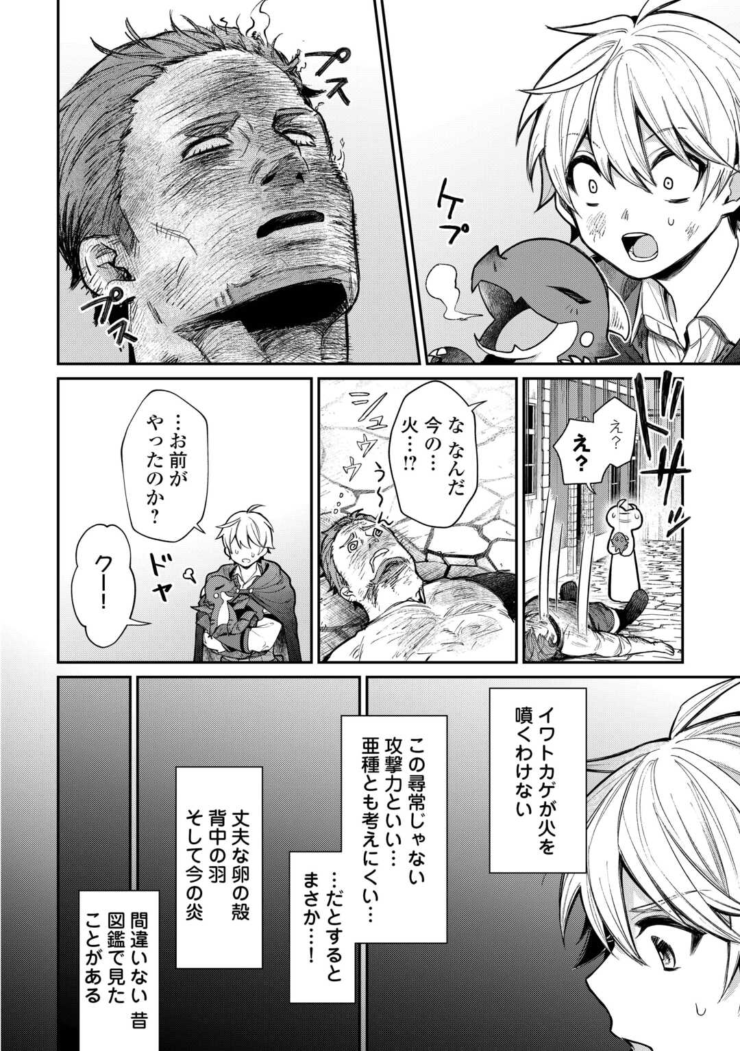 The Case of the Lizard Egg Given as Severance Pay Actually Being a Dragon Chapter 1 30ページ