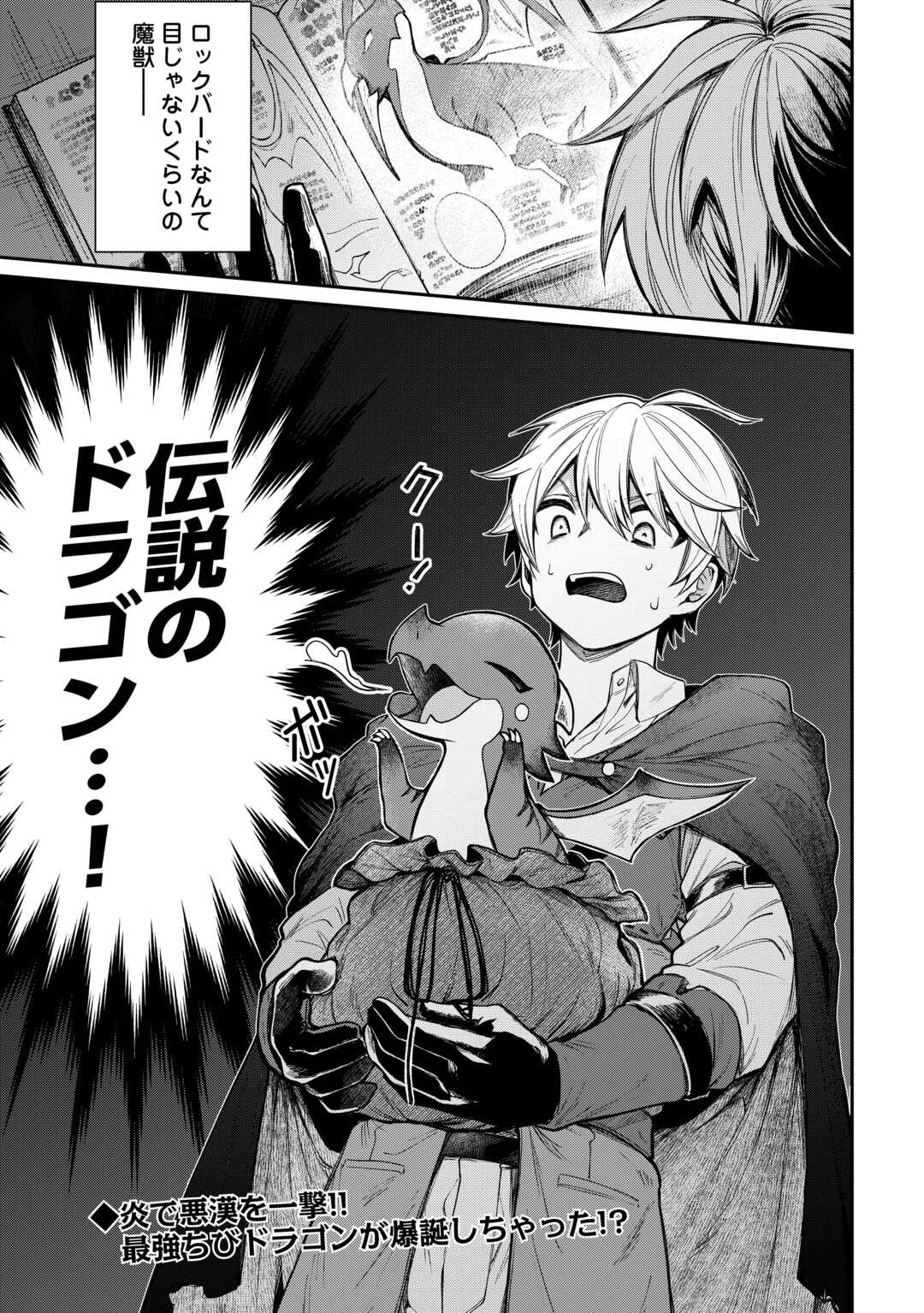 The Case of the Lizard Egg Given as Severance Pay Actually Being a Dragon Chapter 1 31ページ