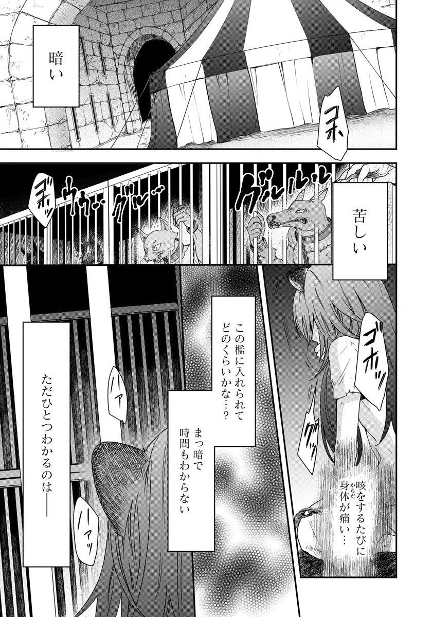 Tate no Yuusha no Nariagari ~ Girls Side Story Chapter 1 1ページ