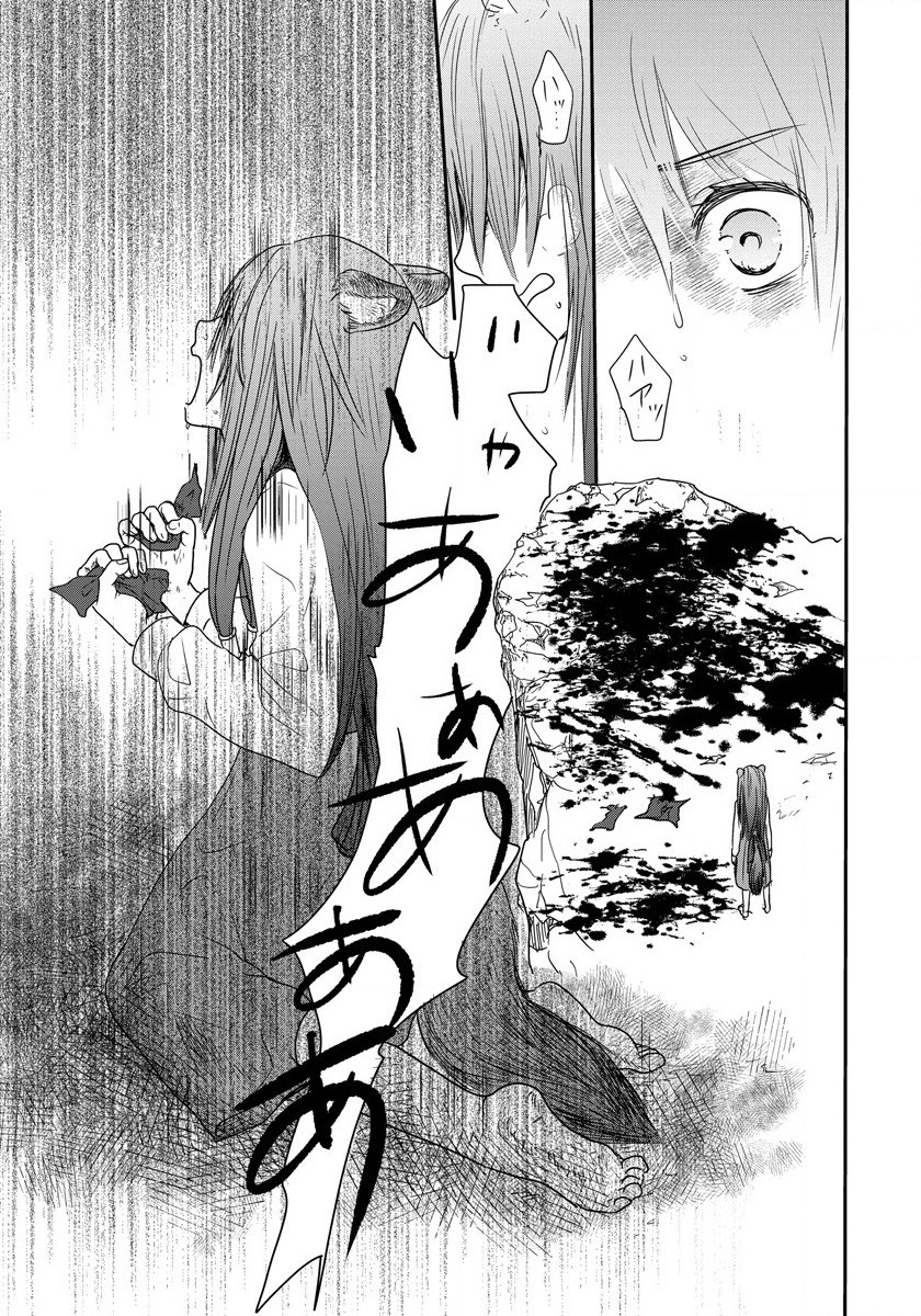 Tate no Yuusha no Nariagari ~ Girls Side Story Chapter 1 21ページ