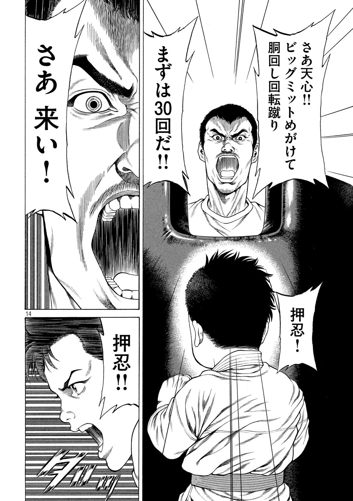 Teppen - Nasukawa Tenshin Monogatari Chapter 11 14ページ