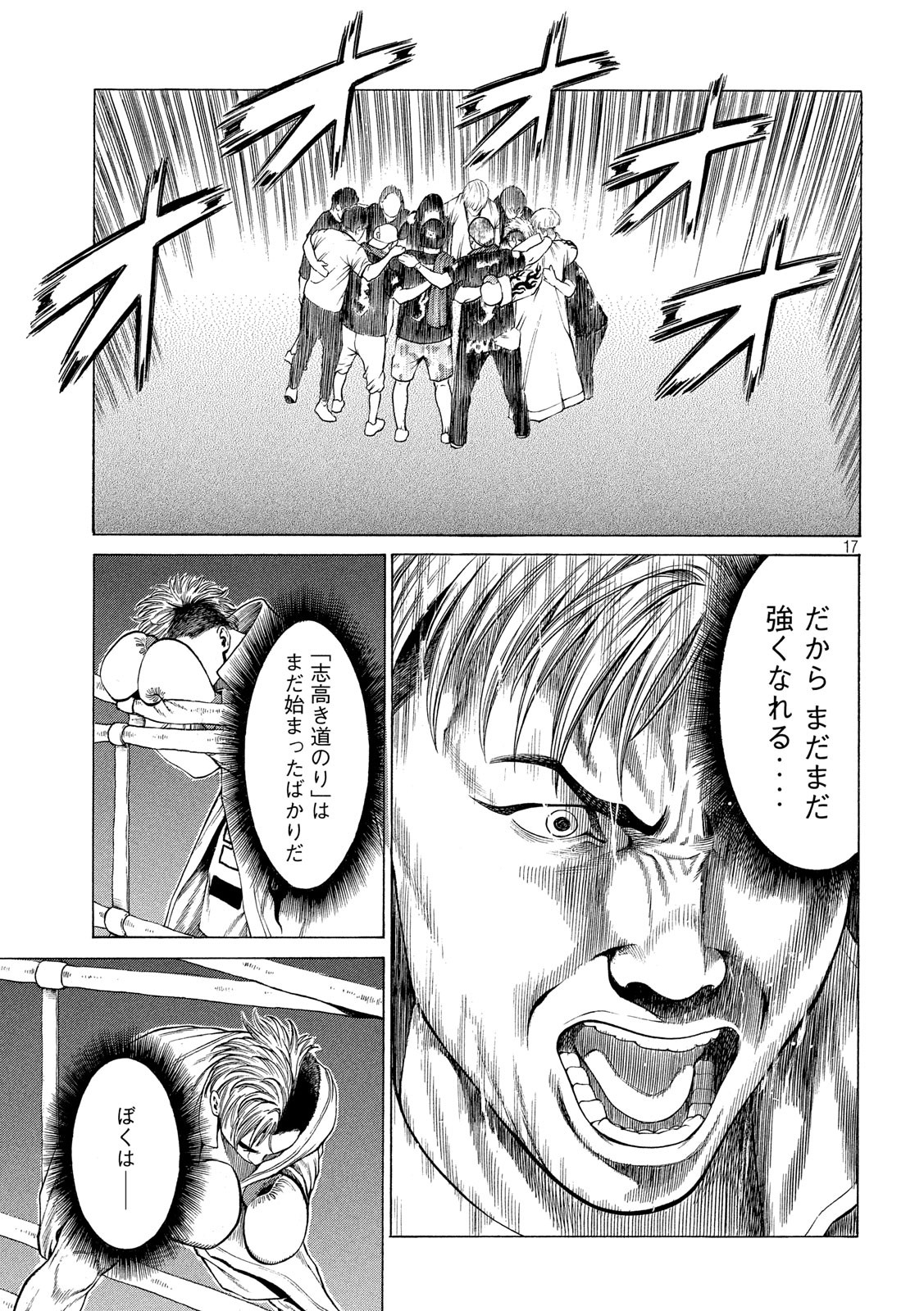 Teppen - Nasukawa Tenshin Monogatari Chapter 24 17ページ