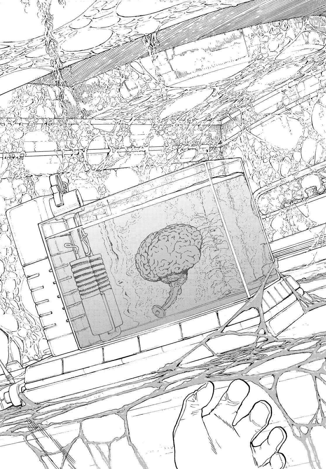Fumetsu no Anata e Chapter 188.5 11ページ