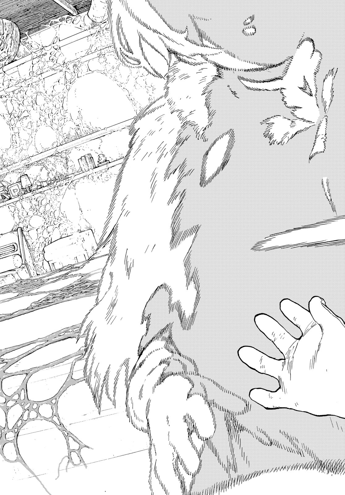 Fumetsu no Anata e Chapter 188.5 10ページ