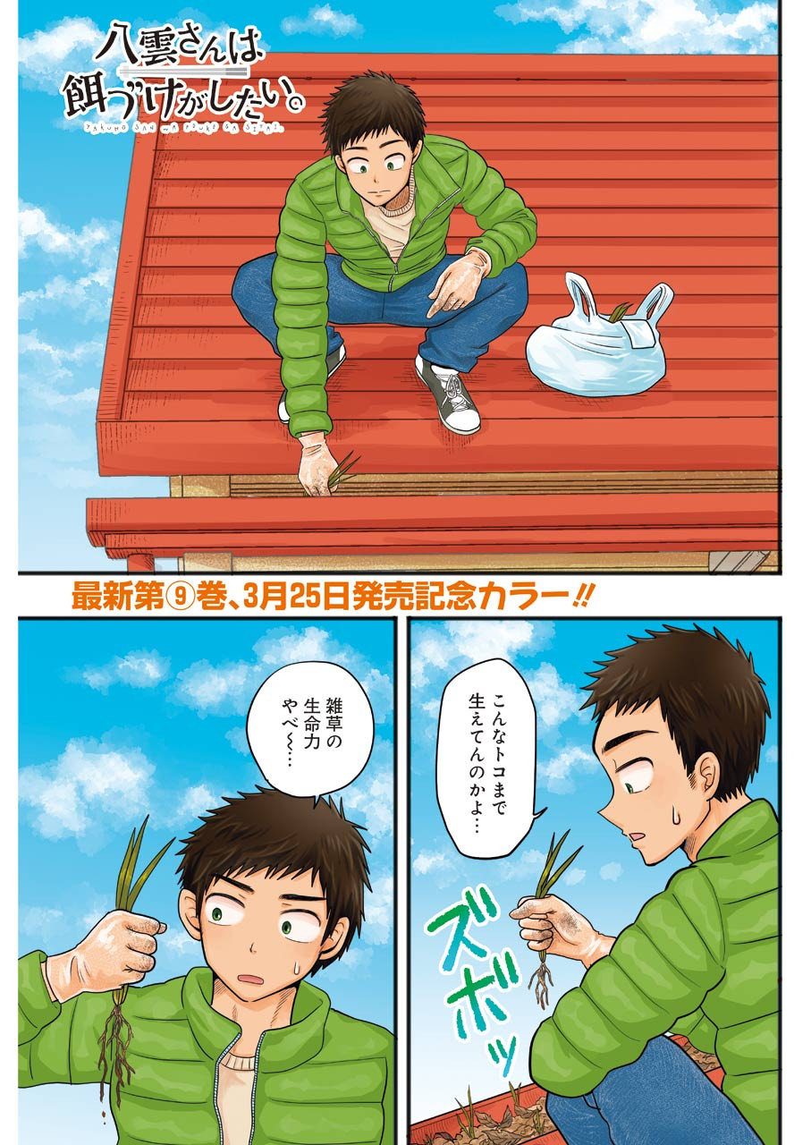 Yakumo-san wa Edzuke ga Shitai. Chapter 65 1ページ