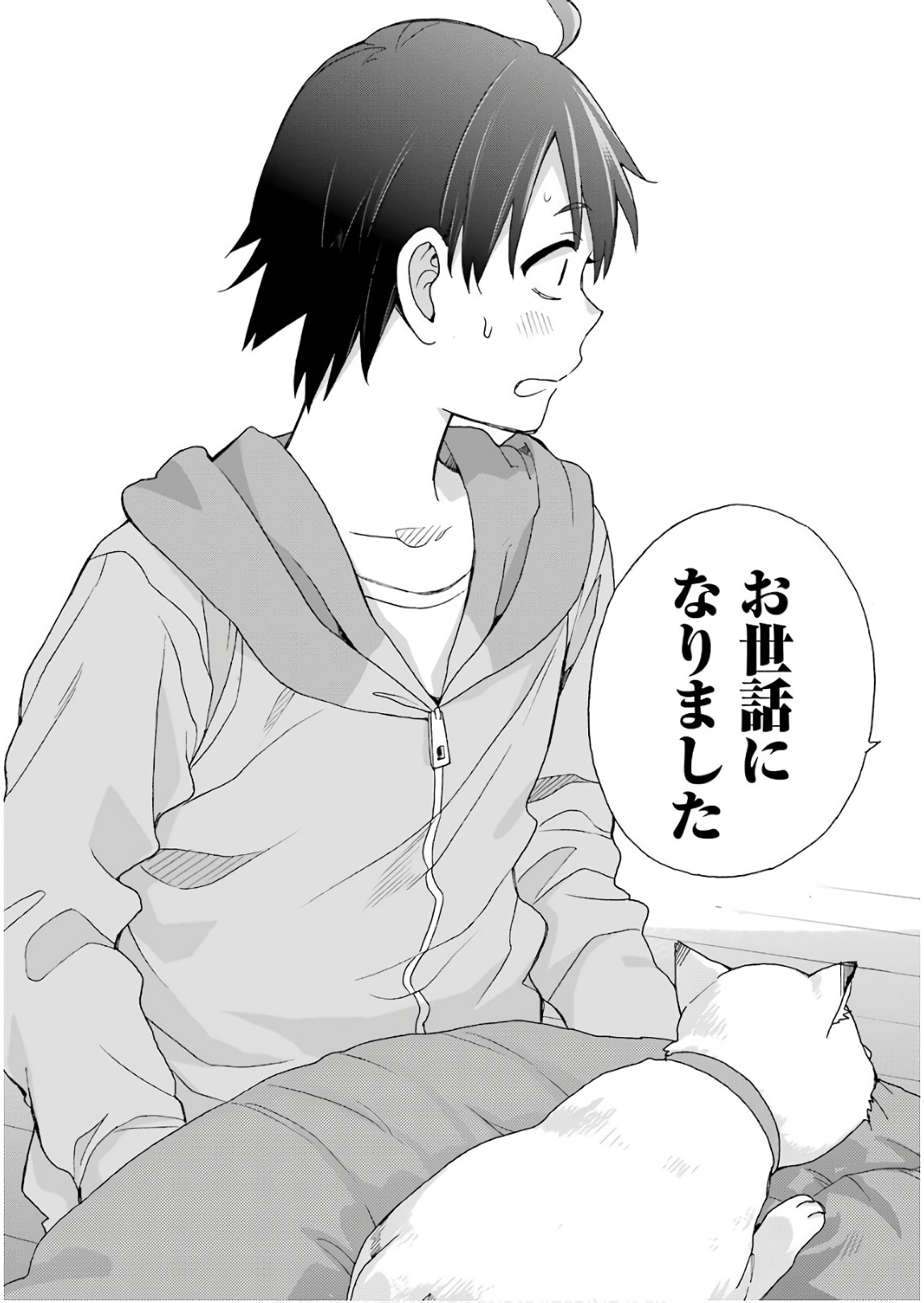 Yahari Ore no Seishun Rabukome wa Machigatte Iru. - Mougenroku Chapter 63 29ページ