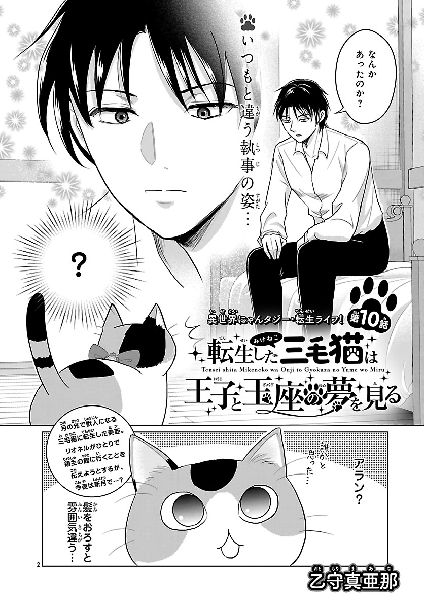 Tensei Shita Mikeneko wa Ouji to Gyokuza no Yume o Miru Chapter 10.1 2ページ