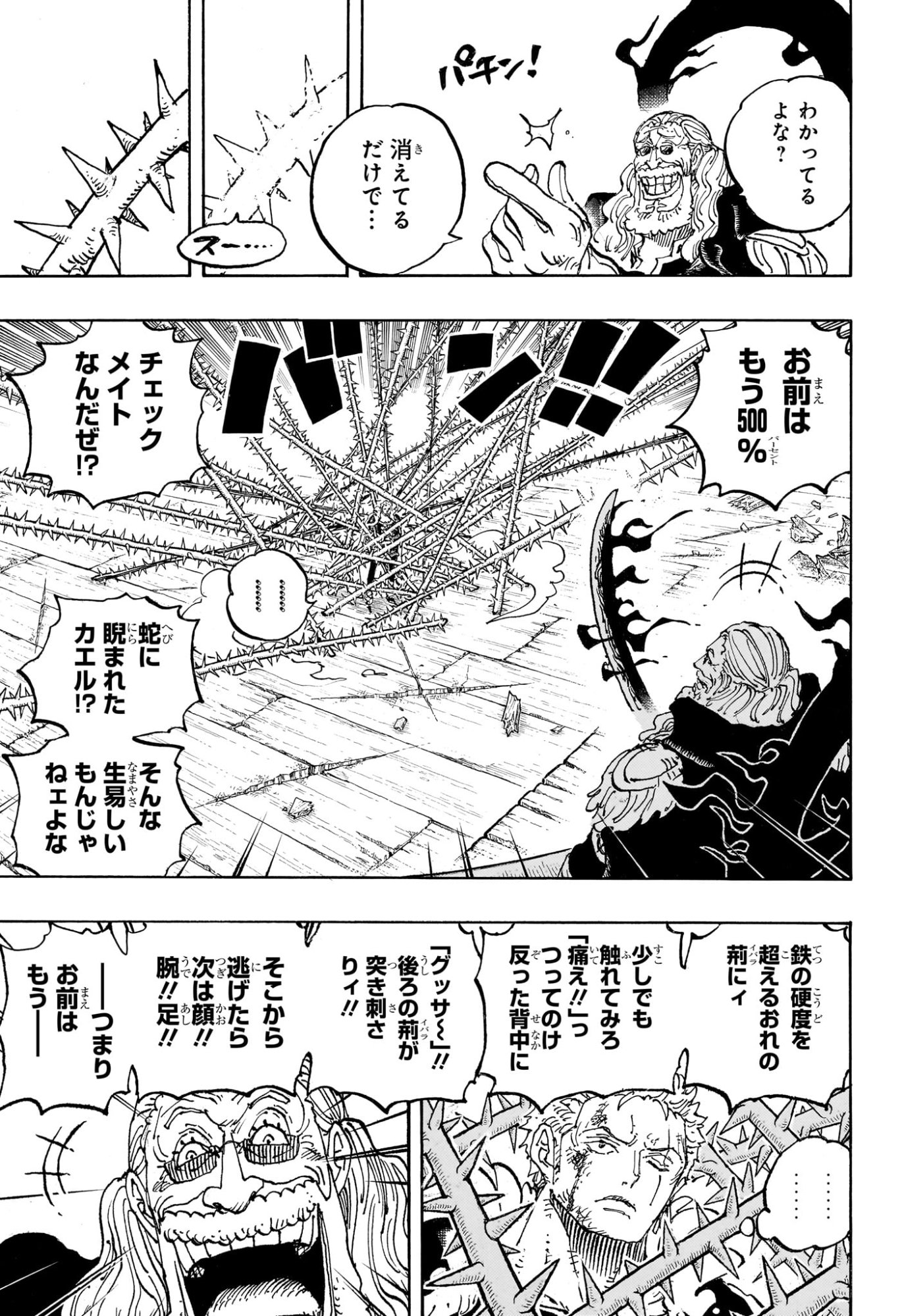 One Piece Chapter 1193 13ページ