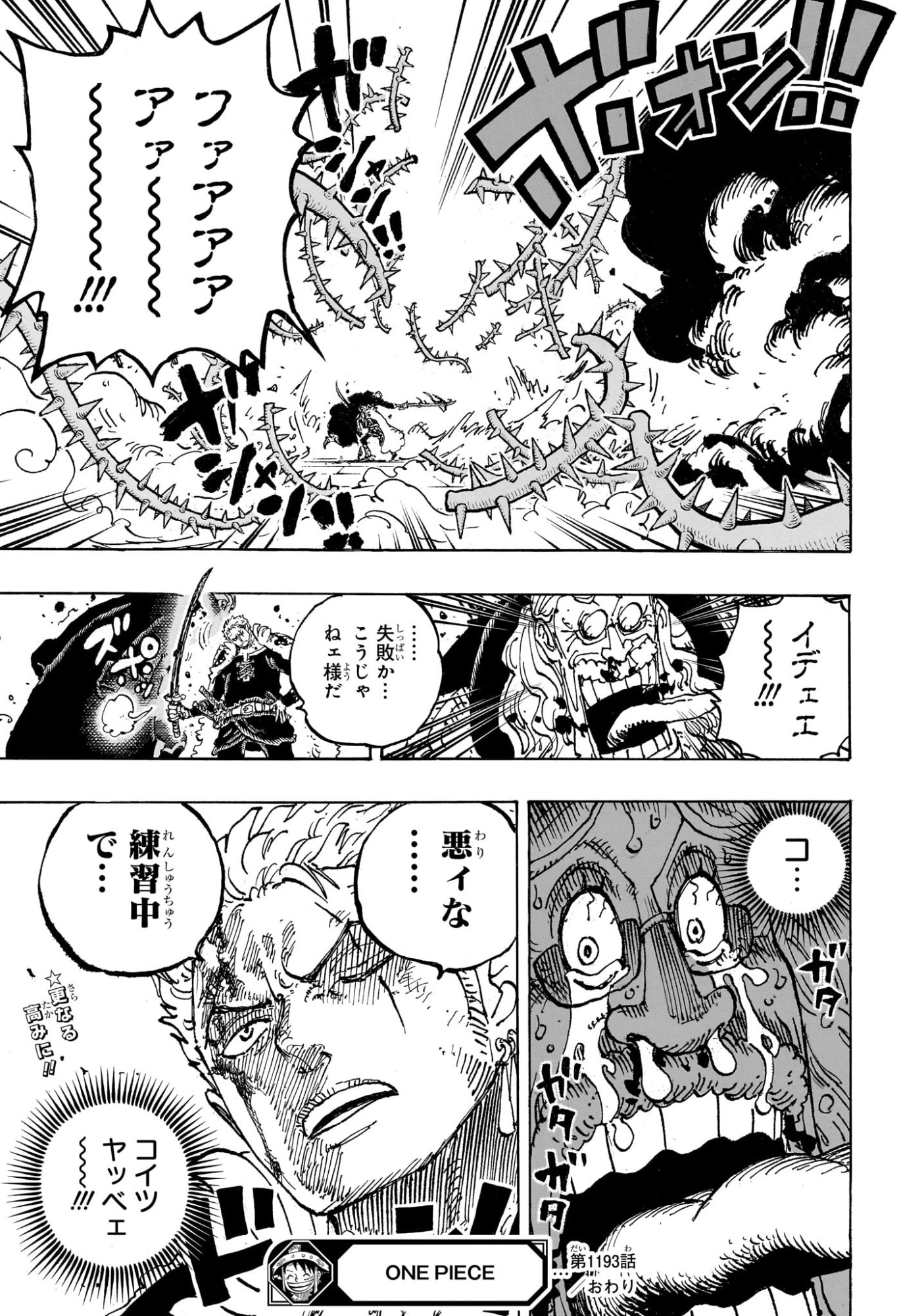 One Piece Chapter 1193 17ページ