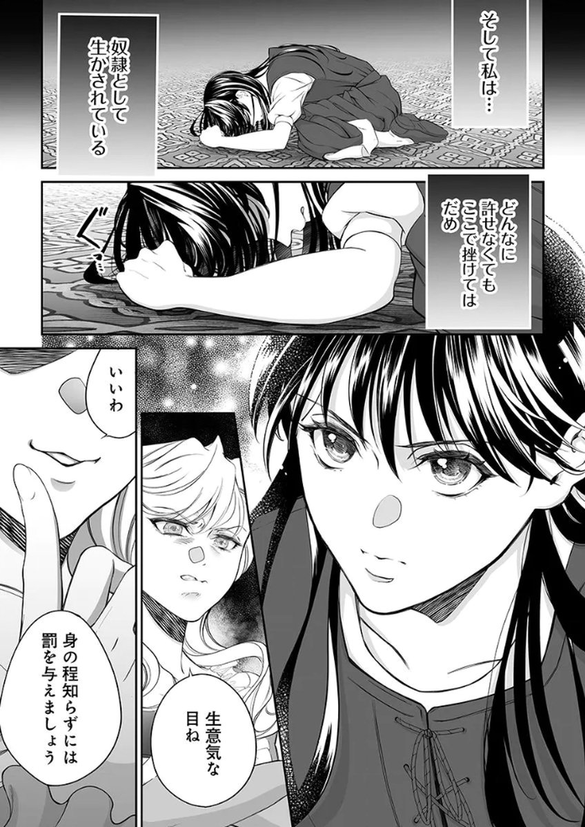 Zangyakuou wa Dorei Hime ni Goshinshin ~Kakute Hirowareta Otoko wa, Unmei no Onna ni Subete wo Sasagu Chapter 1 11ページ