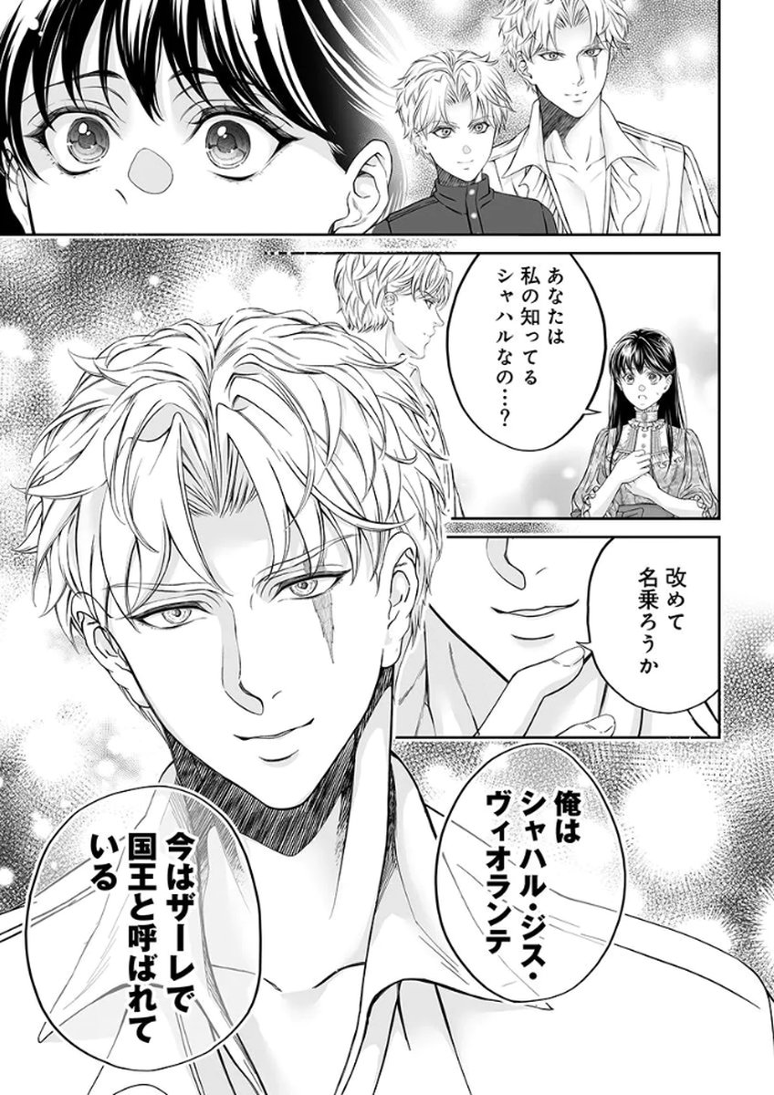 Zangyakuou wa Dorei Hime ni Goshinshin ~Kakute Hirowareta Otoko wa, Unmei no Onna ni Subete wo Sasagu Chapter 2 29ページ
