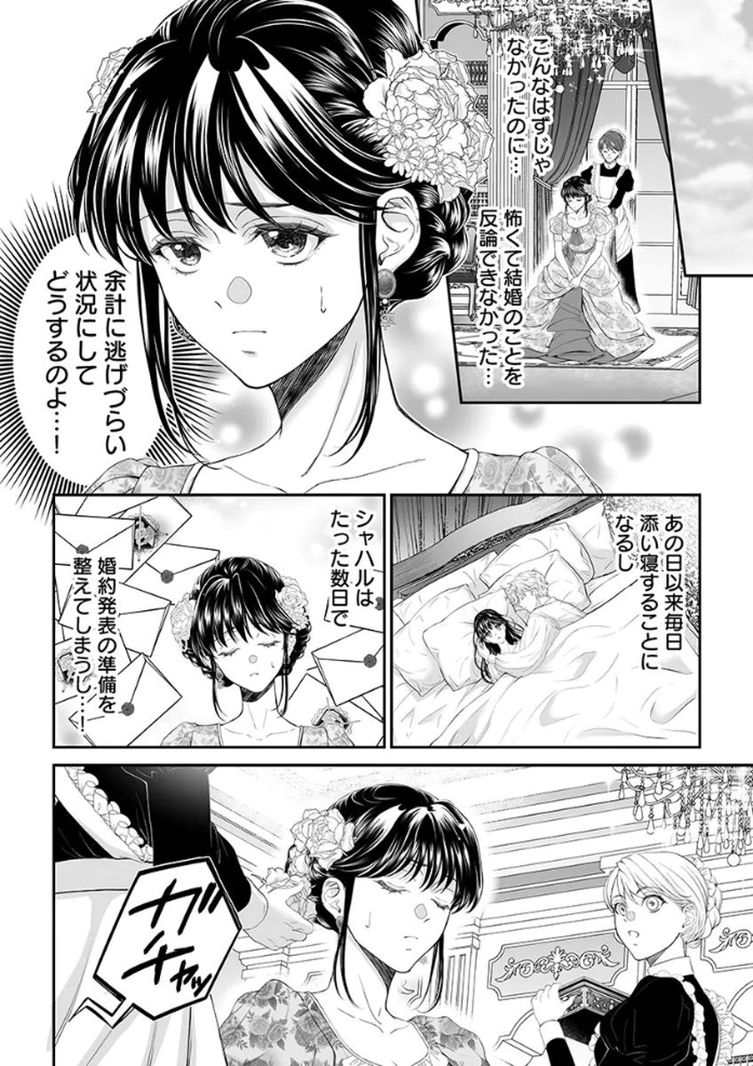 Zangyakuou wa Dorei Hime ni Goshinshin ~Kakute Hirowareta Otoko wa, Unmei no Onna ni Subete wo Sasagu Chapter 3 28ページ