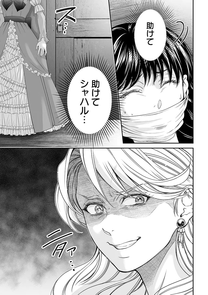 Zangyakuou wa Dorei Hime ni Goshinshin ~Kakute Hirowareta Otoko wa, Unmei no Onna ni Subete wo Sasagu Chapter 10 27ページ